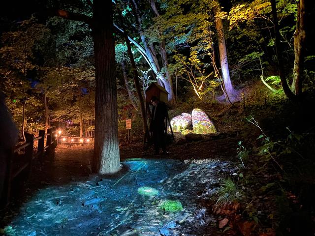 定山渓ネイチャールミナリエ｜国立公園を舞台にした、自然と共創する