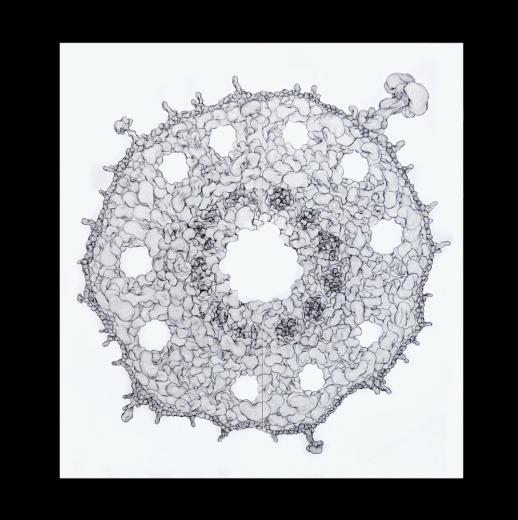 MoMA The 2000 Series: Tadanori Yokoo (ポスター)MoMA The 2000