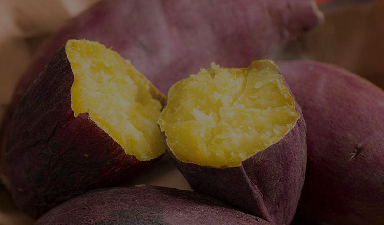 TF-40A - タイジ株式会社タイジ株式会社