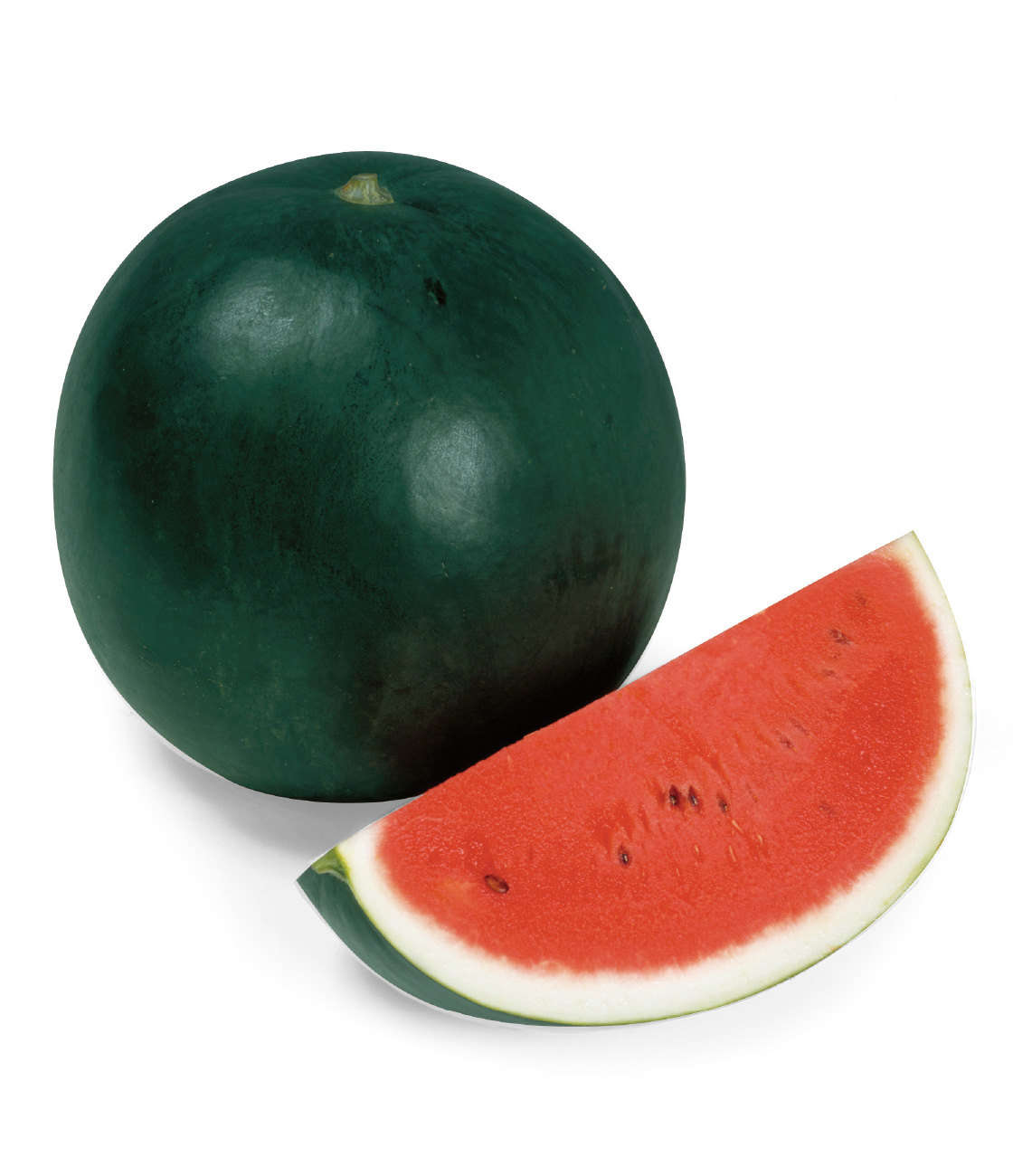 ブラックボール2 スイカ ｜ 品種カタログ ｜ タキイの野菜【タキイ種苗】