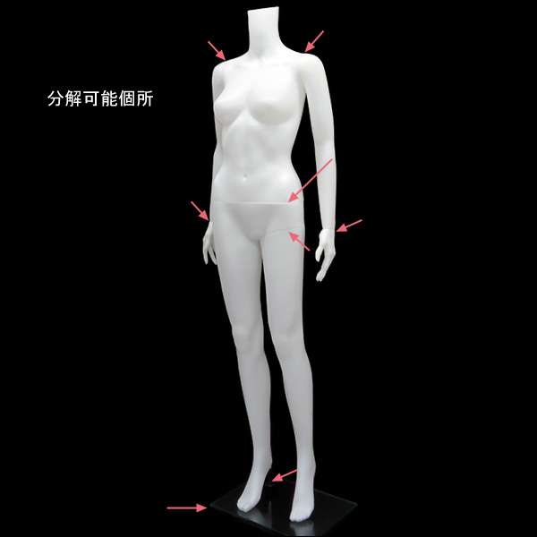 レディースマネキン 店舗用品やカー用品が揃う通販サイト｜VIVA