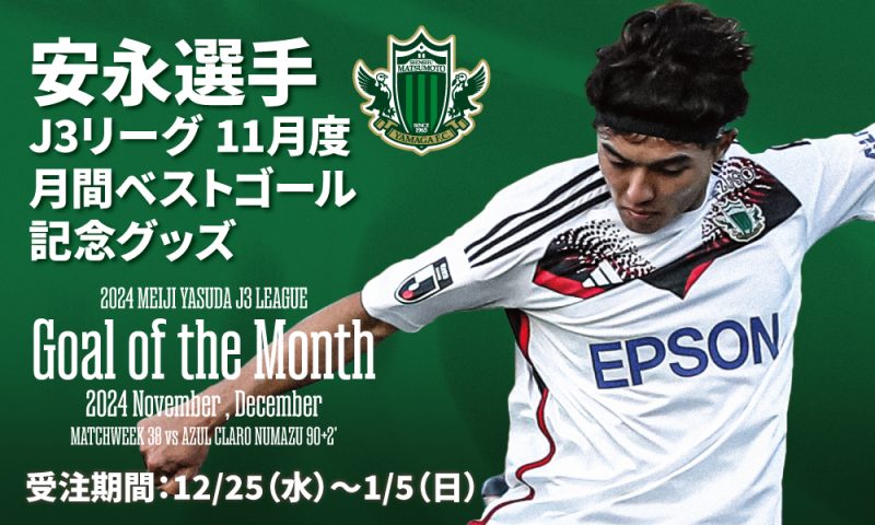 1225yasunaga_mv-800x480.jpg
