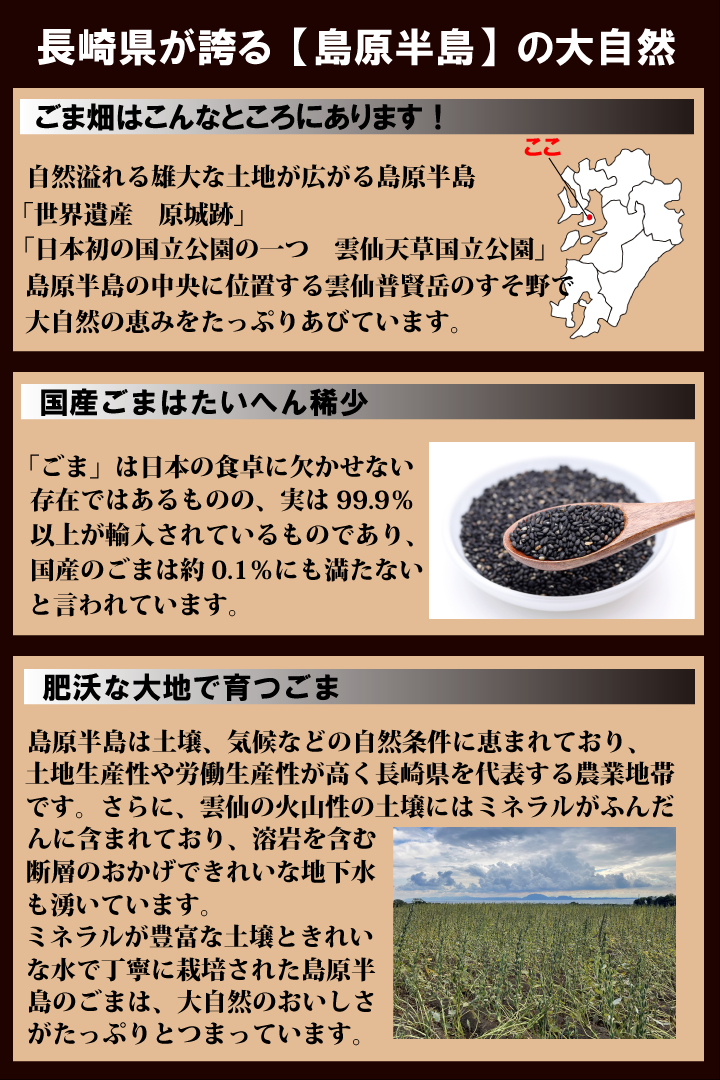 UO-95】 雲仙ごま ごま油 95gビン入