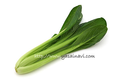 小松菜 こまつな コマツナ