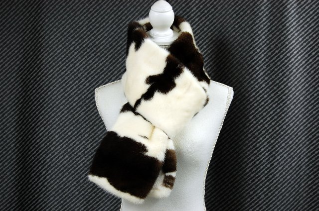 6-thumb.jpg?1765271356653