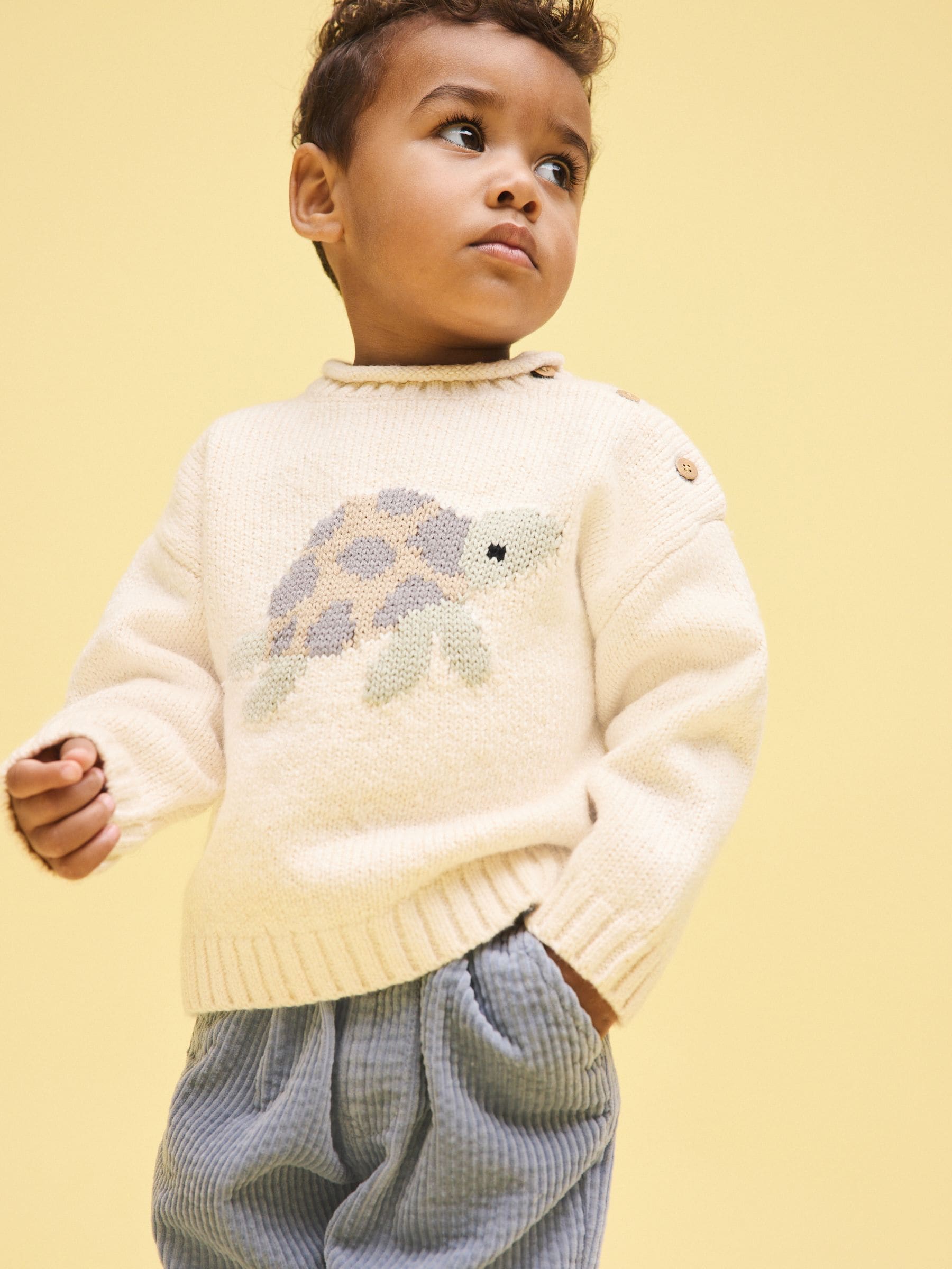 Buy Cream Turtle Character Knitted Crew Neck Jumper (3mths-7yrs