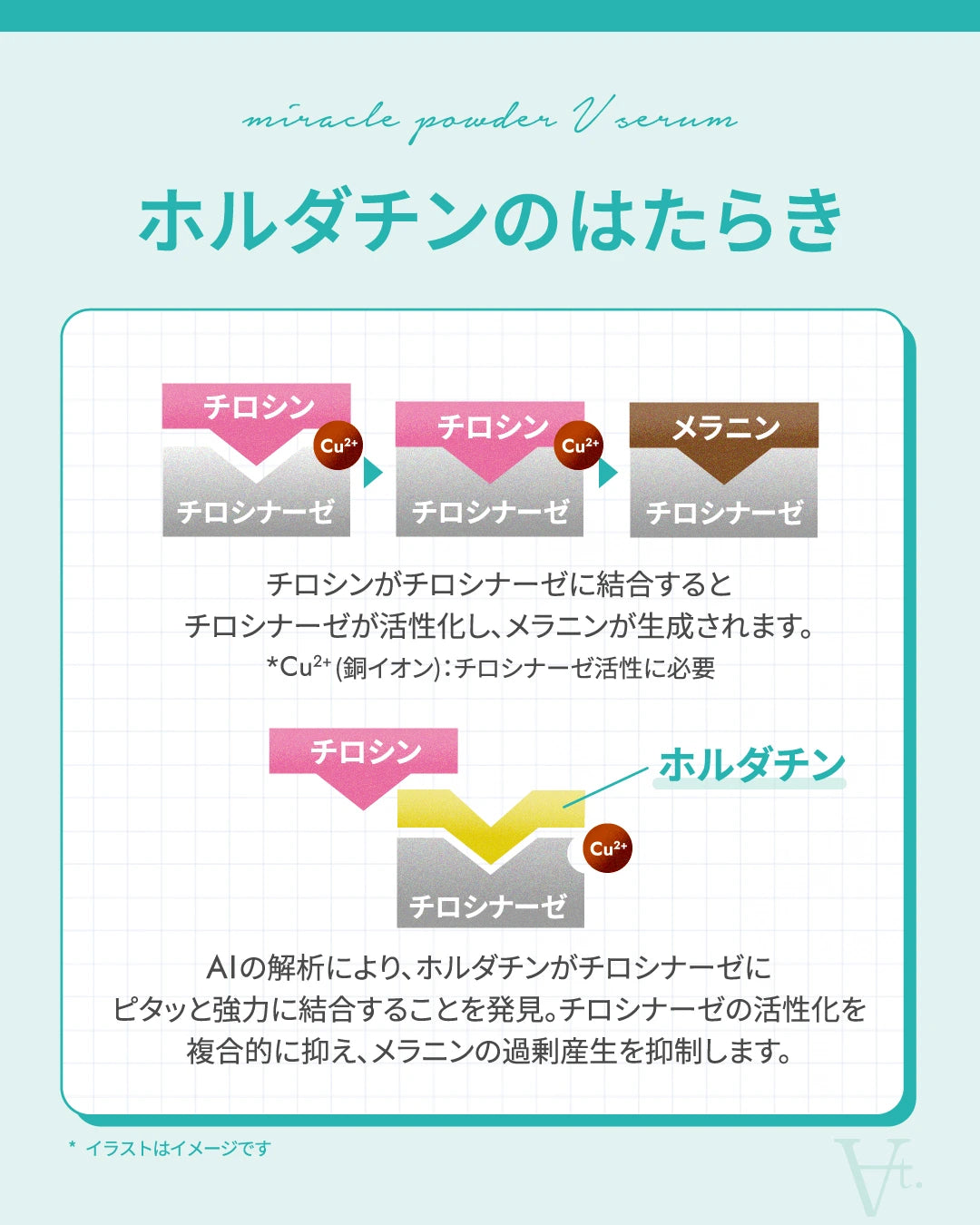 At. ミラクルパウダーVセラム 40g 通販 - X CLINIC online