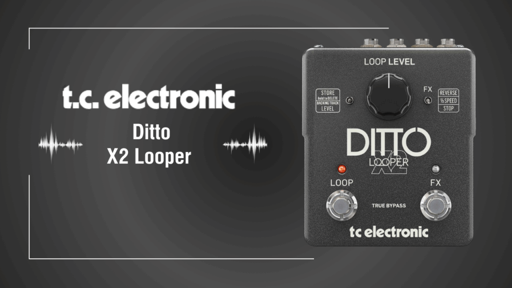 Ditto X2 Looperが変える一人演奏の世界とその魅力とは？特徴・評判