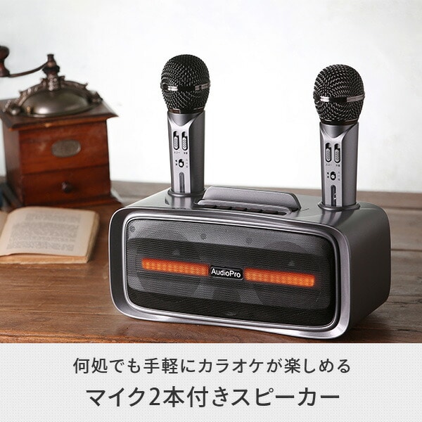 ワイヤレスマイクスピーカー マイク2本付き カラオケ ST-2028 とう