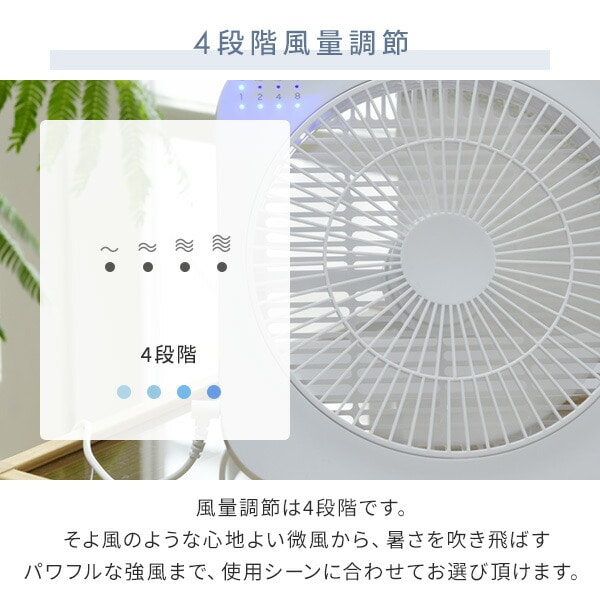 DCボックス扇風機 デスクファン 省電力 卓上 SF-DFB18 トップランド