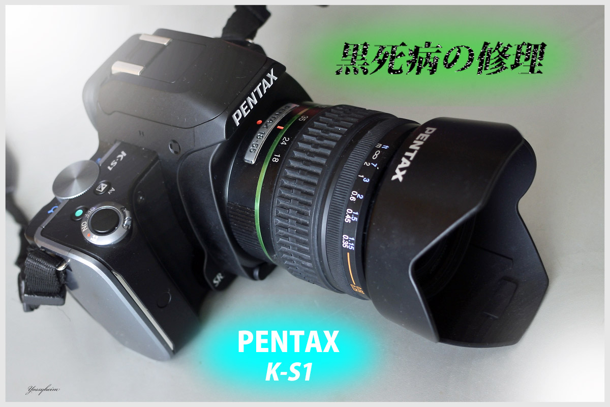 ペンタックス K-S1 撮影画像が真っ暗になる黒死病の修理 | ヨッシーハイム