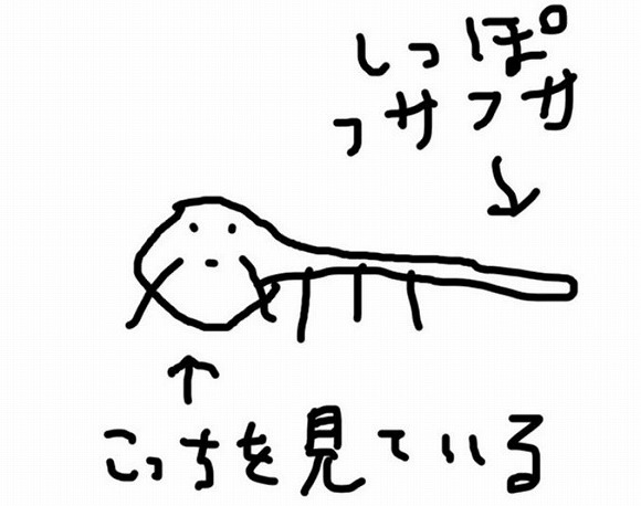 田辺誠一画伯が描いた「タヌキ」のタヌキじゃない感に焦る／Twitter