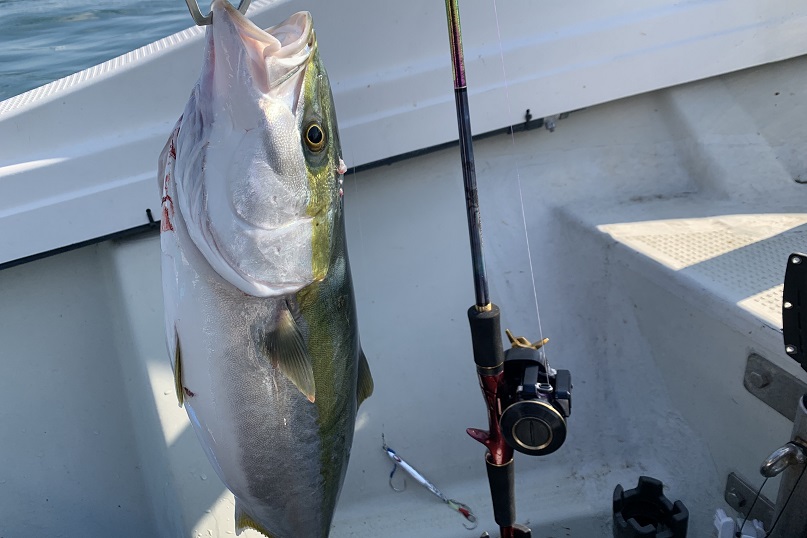 ワールドシャウラリミテッド1652R-3レビュー。用途は何！？ | アウちゃん◇