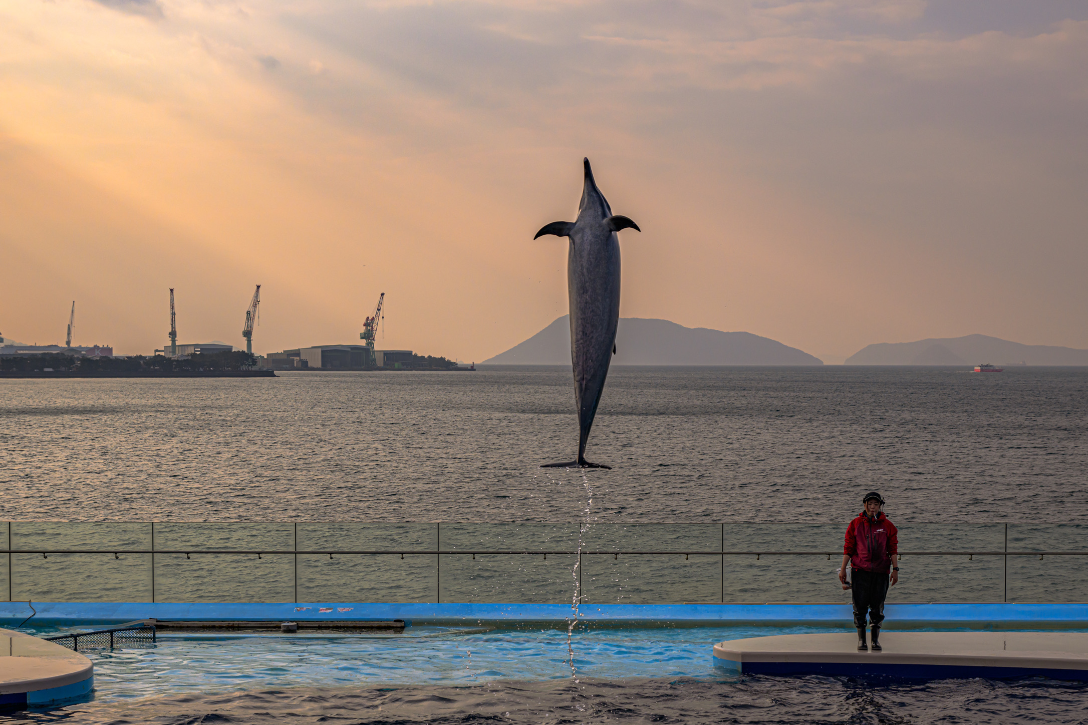 YUTA録K–1 Mk2、Nikon Df、LeicaM10-R、Leica SL2-S、Leica Q2のカメラ