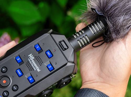 SSH-6e Stereo Shotgun Mic | ZOOM