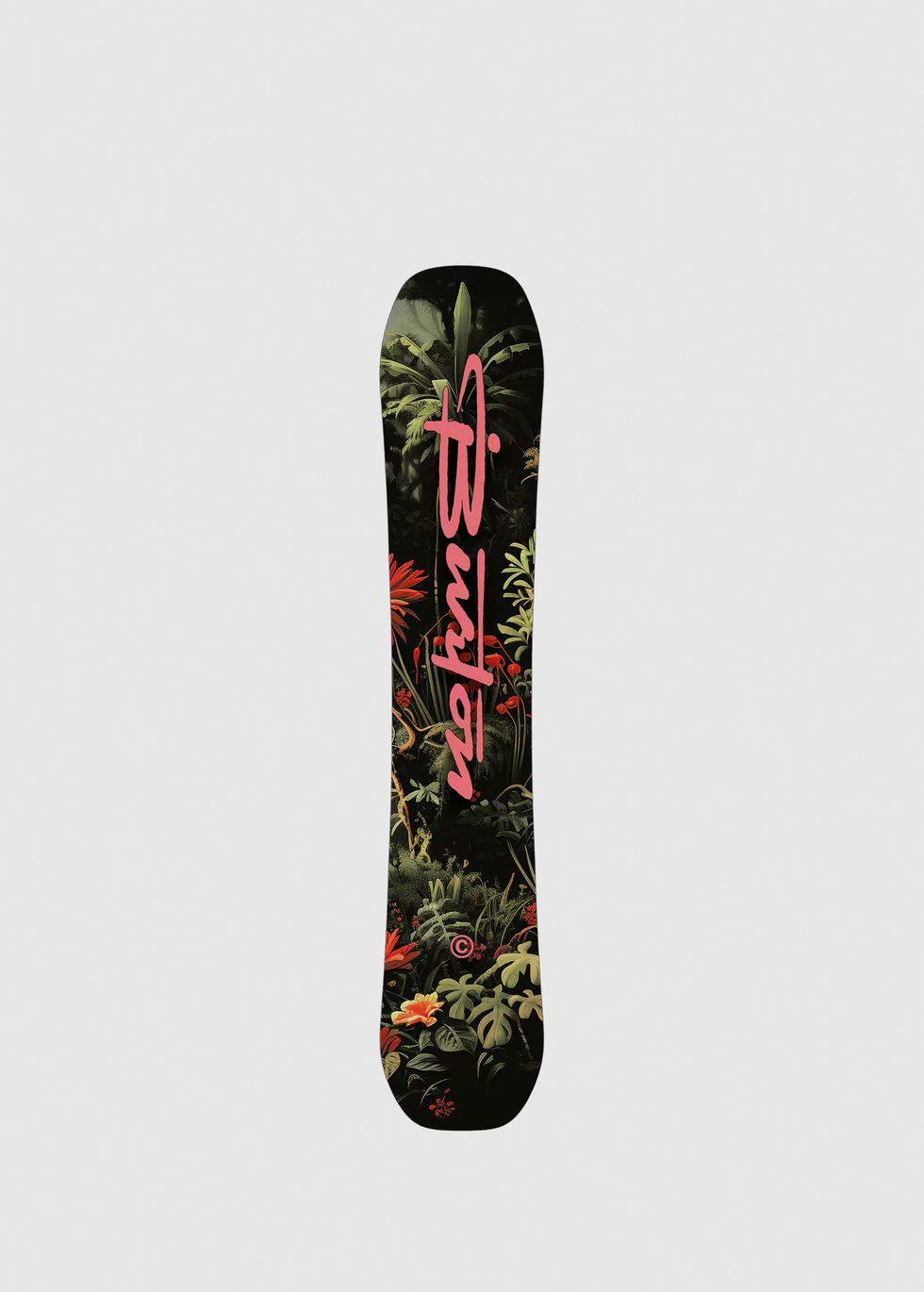 Burton AG 2L GORE-TEX Flyrail Pants