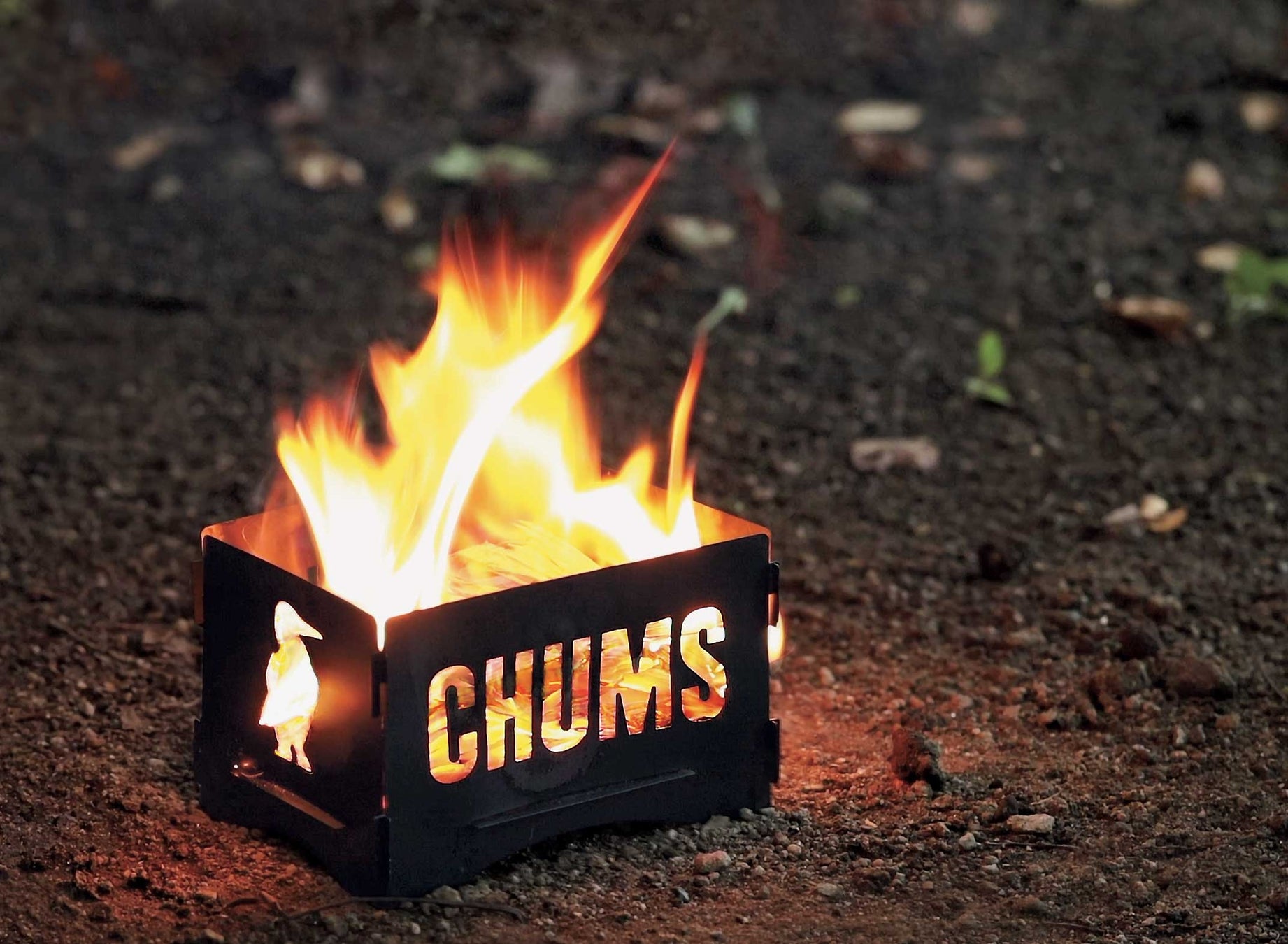 BE-PAL最新号は『CAMP with BOOKS』プロジェクトから生まれた「焚き火