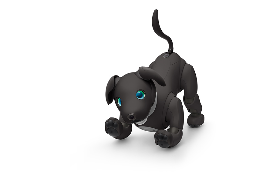 aibo エスプレッソ エディション | aibo