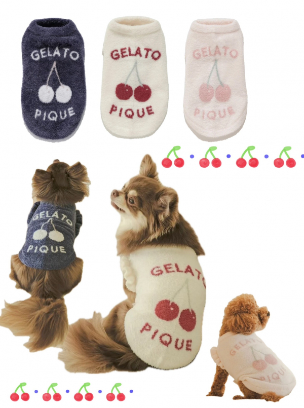 ✨ジェラートピケ 新作入荷✨ │ピーツー │ ショップブログ │ アミュ