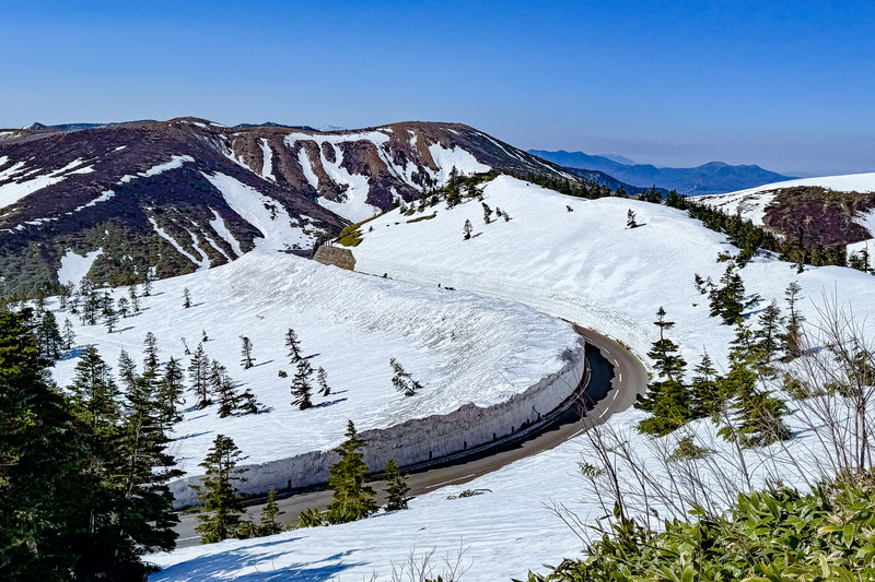 志賀草津高原ルート 雪の回廊2025｜群馬・中之条観光｜天空の回廊が