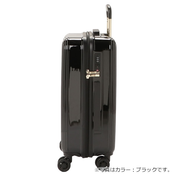 CECIL McBEE セシルマクビー キャリーバッグ キャリーケース スーツ