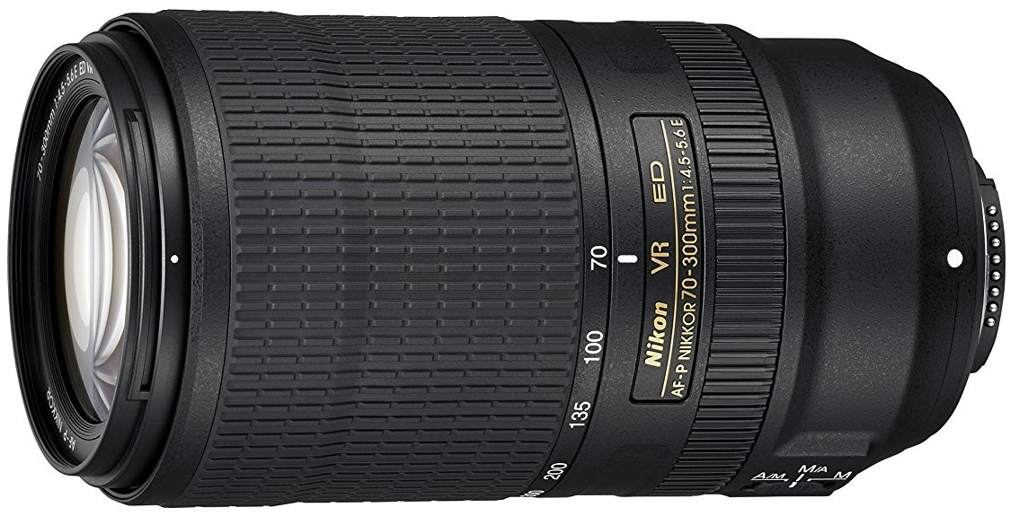 AF-P NIKKOR 70-300mm ED VRは大型ズームの代案となる汎用性の高い