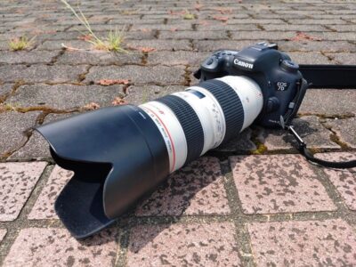 EF-S 55-250mm F4-5.6 IS STM」はLUMIX G9との相性抜群！？ | あそぶログ！