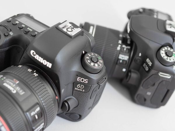 ASCII.jp：フルサイズ一眼「EOS 6D MarkII」とAPS-C一眼「EOS 80D