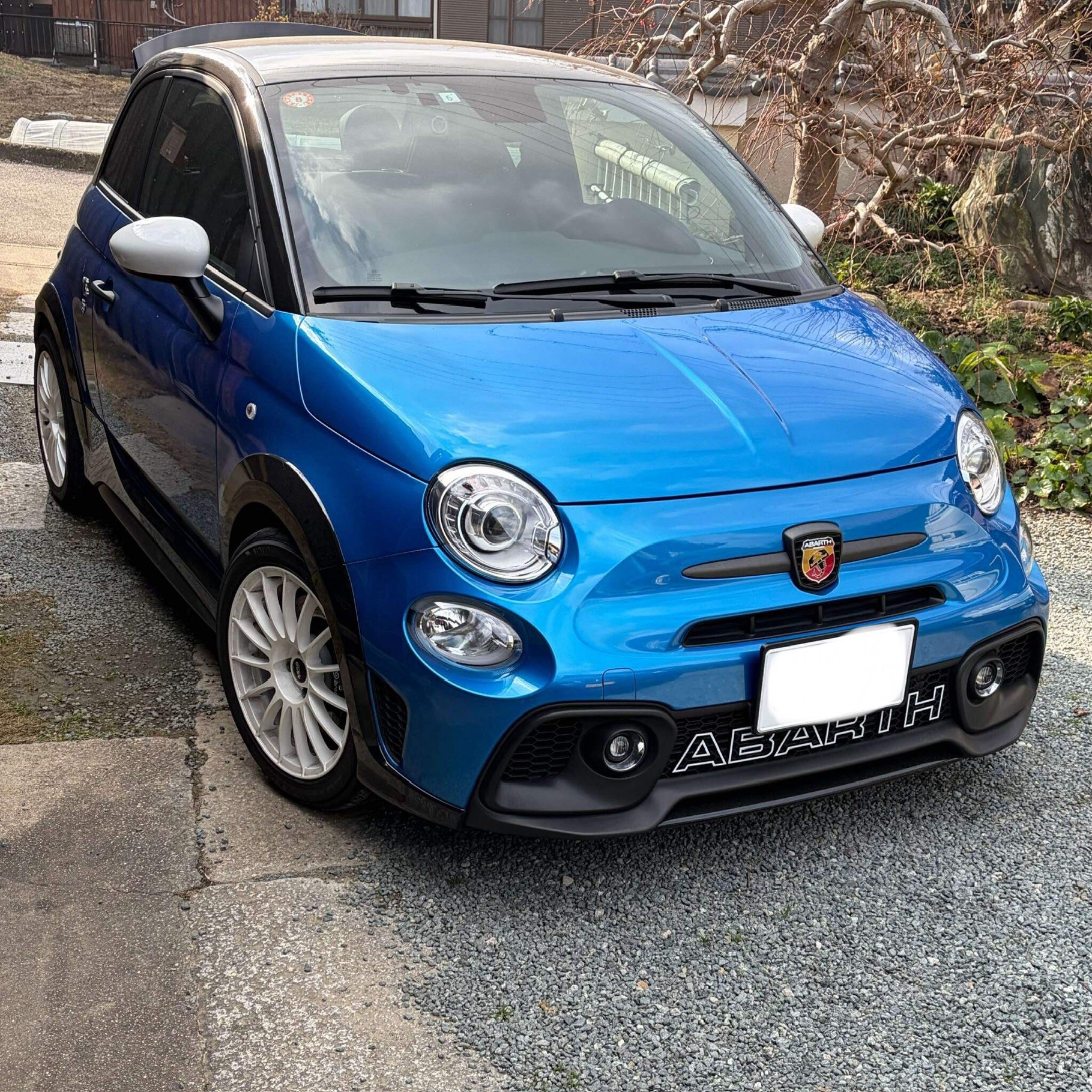 お客様ご紹介！パルティーレクインディチをご装着頂きました！ – ASSO