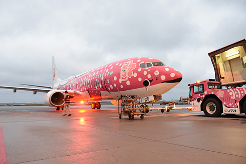 日本トランスオーシャン航空、「2Ku」装備の新さくらジンベエ就航