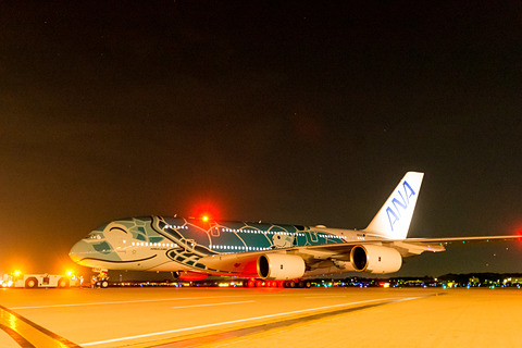 日本とハワイを笑顔で結ぶ。ANA A380型機「FLYING HONU（空飛ぶ