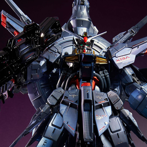 ガンプラ「MG プロヴィデンスガンダム [スペシャルコーティング]」が11