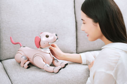 ピンクのaibo「いちごミルク」誕生。専用ダンスも - Impress Watch