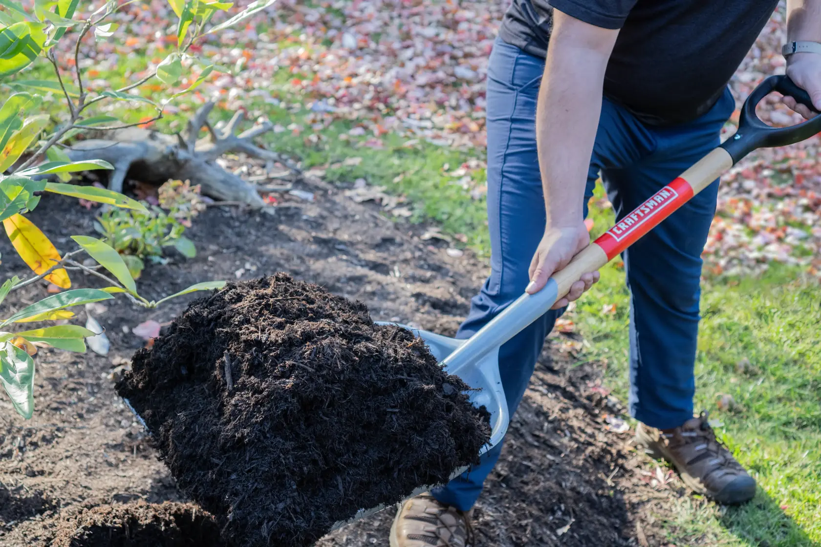 CRAFTSMAN® 27-Inch Wood D-Handle Scoop Shovel