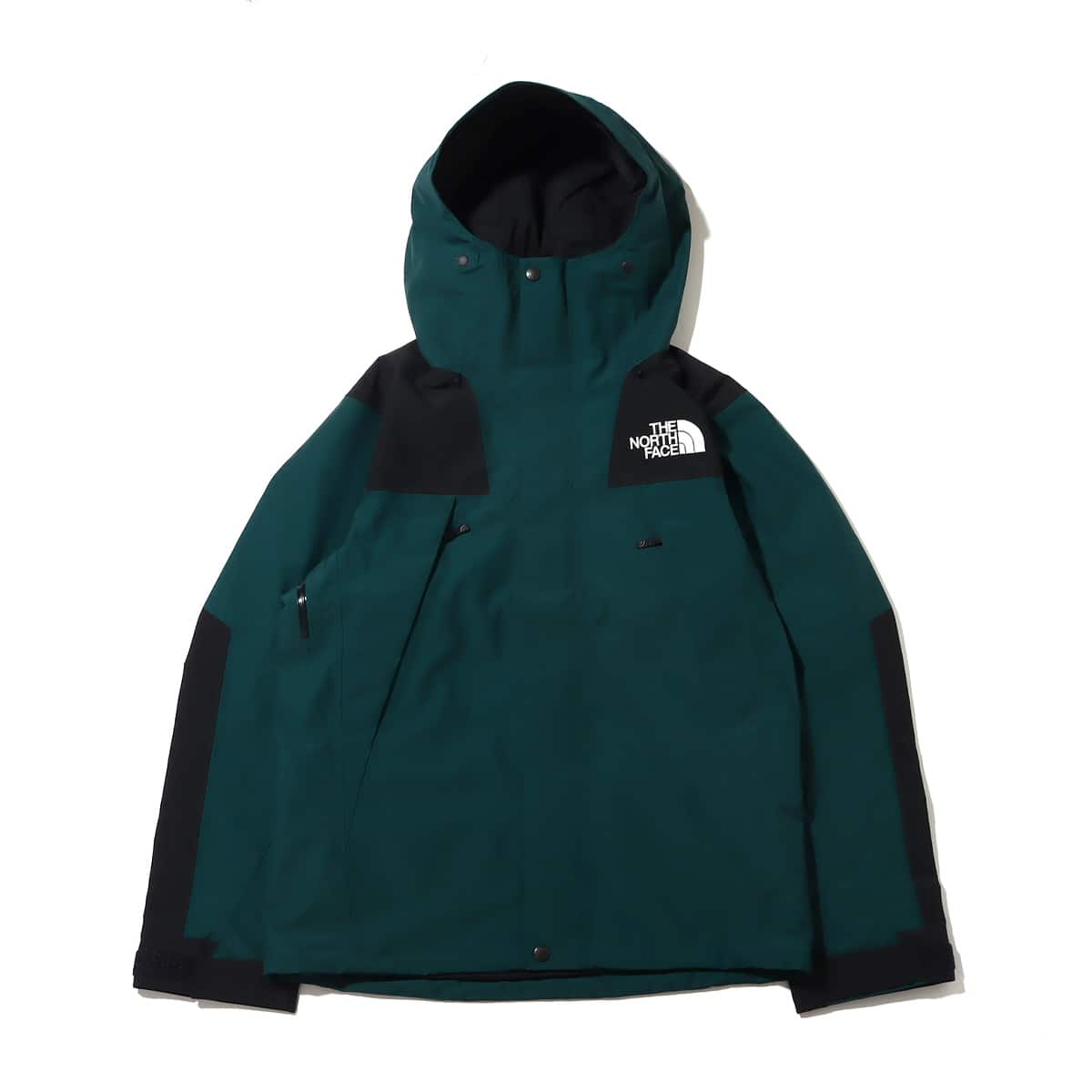 THE NORTH FACE MOUNTAIN JACKET ポンデローサグリーン 22FW-I（ザ