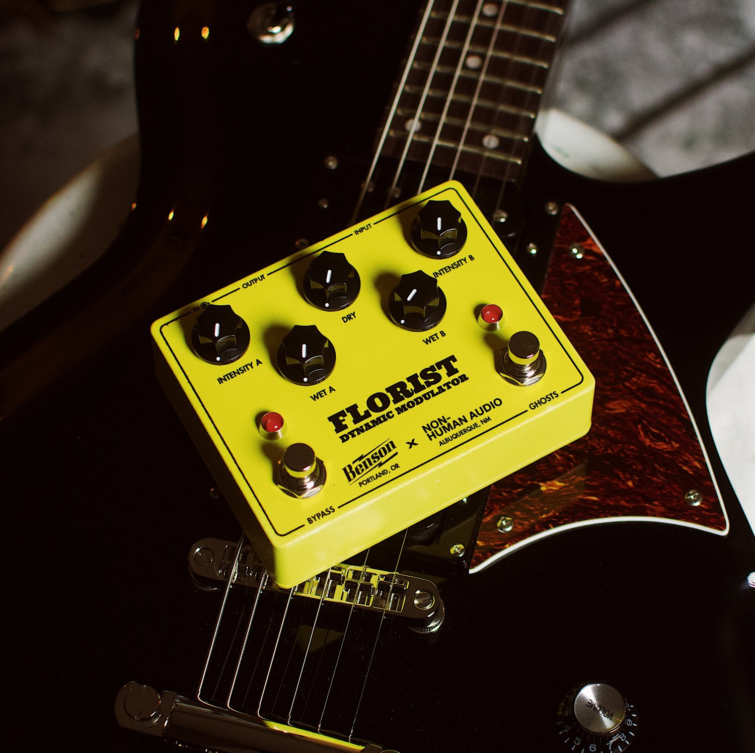 Benson x Non-Human Audio Florist [YELLOW 2025] | Little Box Effects