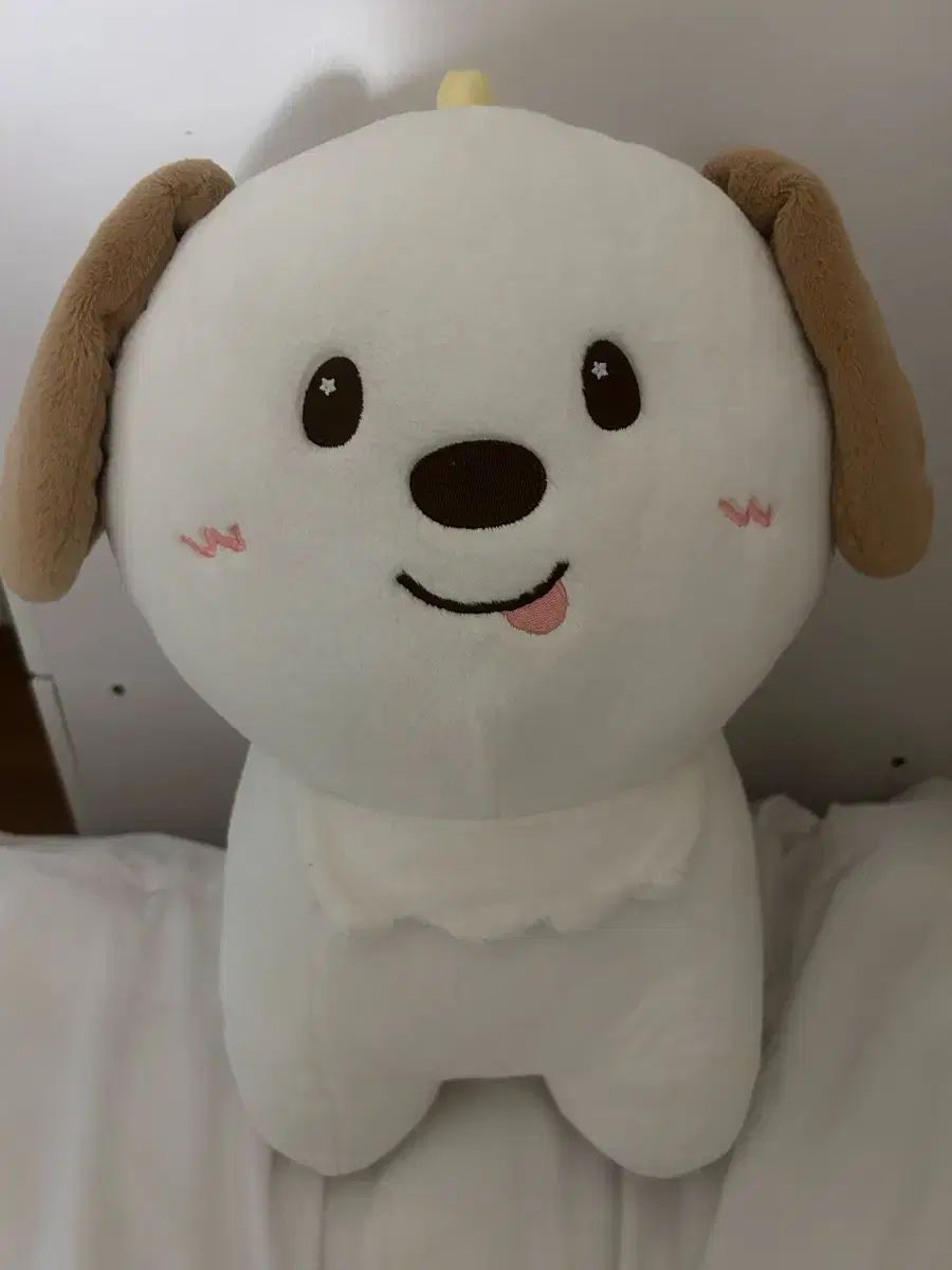 RIIZE アントン ANTON 40cm ドール ぬいぐるみ SMtown 40CM DOLL