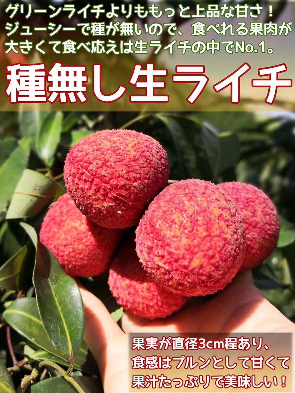 予約7月中旬＞種無し生ライチ約8kg 希少品種 - メルカリ
