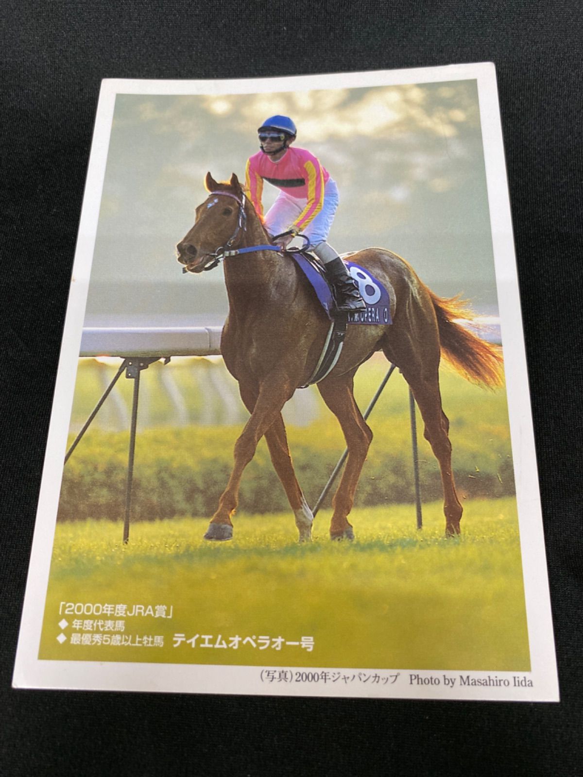 競馬］テイエムオペラオー（2000年・年度代表馬）ポストカード