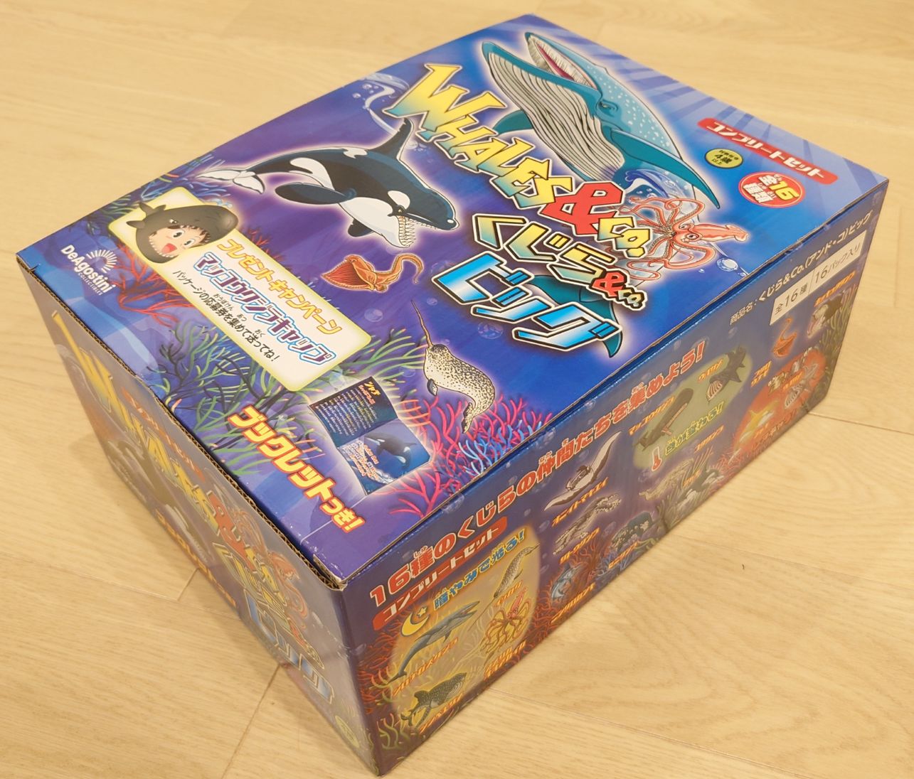 新品未開封】クジラアンドコー クジラ&co. 全16種セット - メルカリ