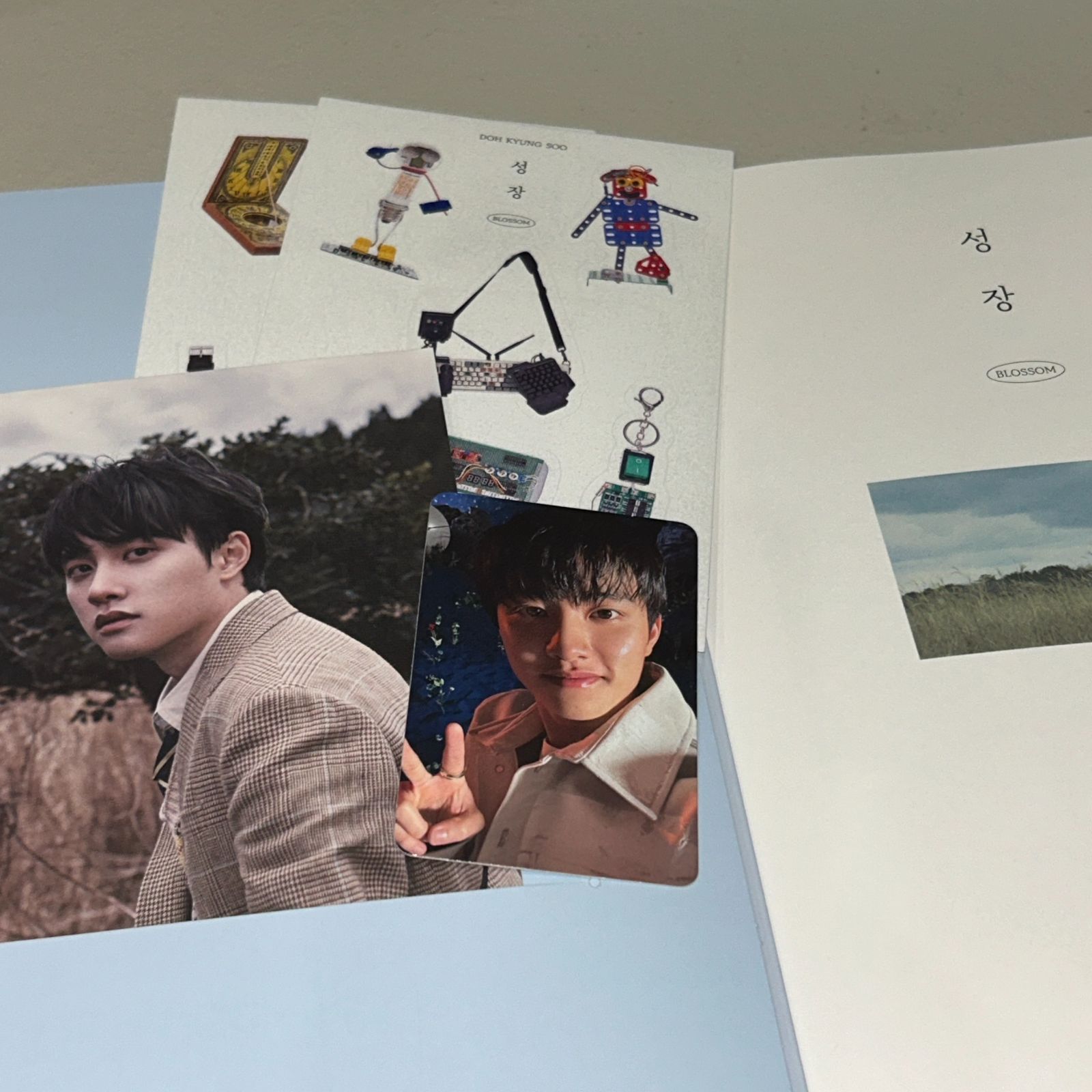 ド·ギョンス 直筆サイン「BLOSSOM」MARS ver. - メルカリ