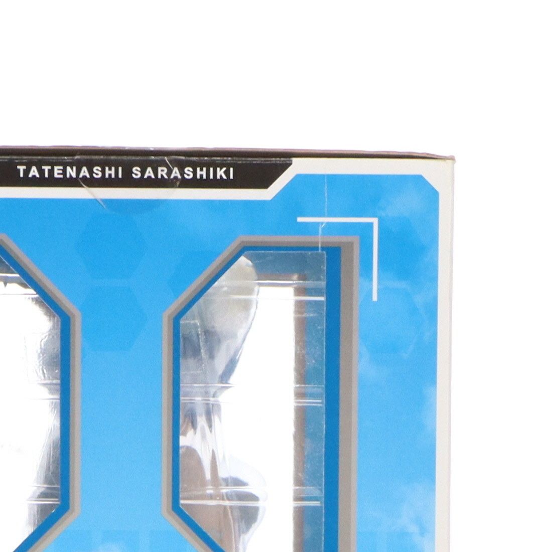 更識楯無(さらしきたてなし) 猫Ver. IS インフィニット・ストラトス 1