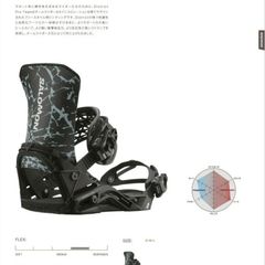 SALOMON DISTRICT PRO TEAM PRO SERIES メンズ サイズL NEW 25-26