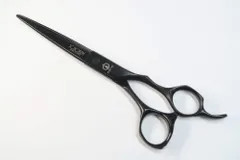 2026年最新】ミズタニ シュコーラムマスターの人気アイテム - メルカリ