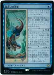 MTG/日本語版/溢れかえる岸辺/Flooded Strand/モダンホライゾン3/MH3