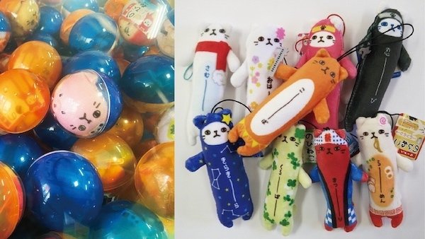 カワチへ行こう！2022（実施内容紹介）｜ko-ba