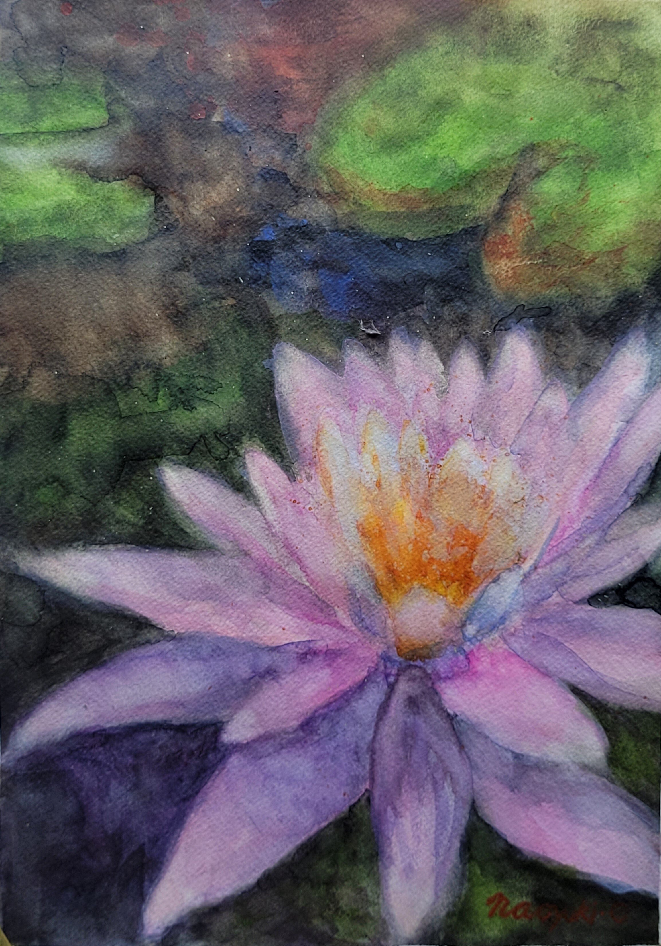 睡蓮(スイレン)」（透明水彩A4）｜おおもり なお【大森尚行】