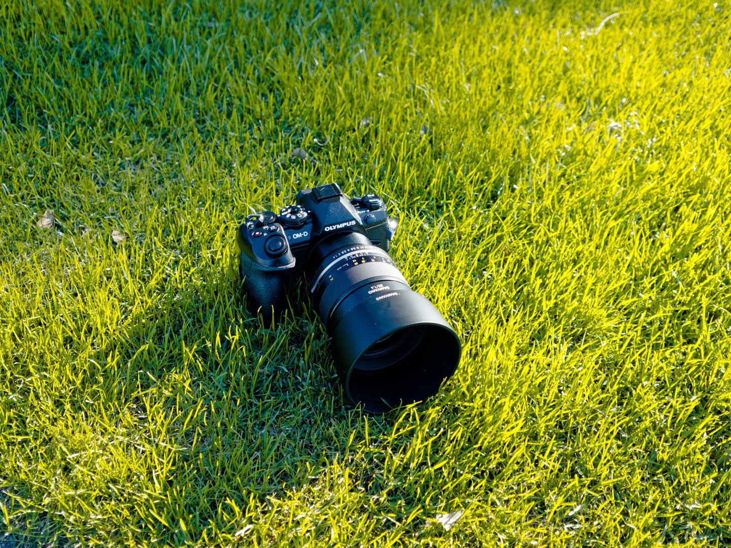 SAMYANG MF 85mm F1.4 MK2｜しんはく(sinhaku)