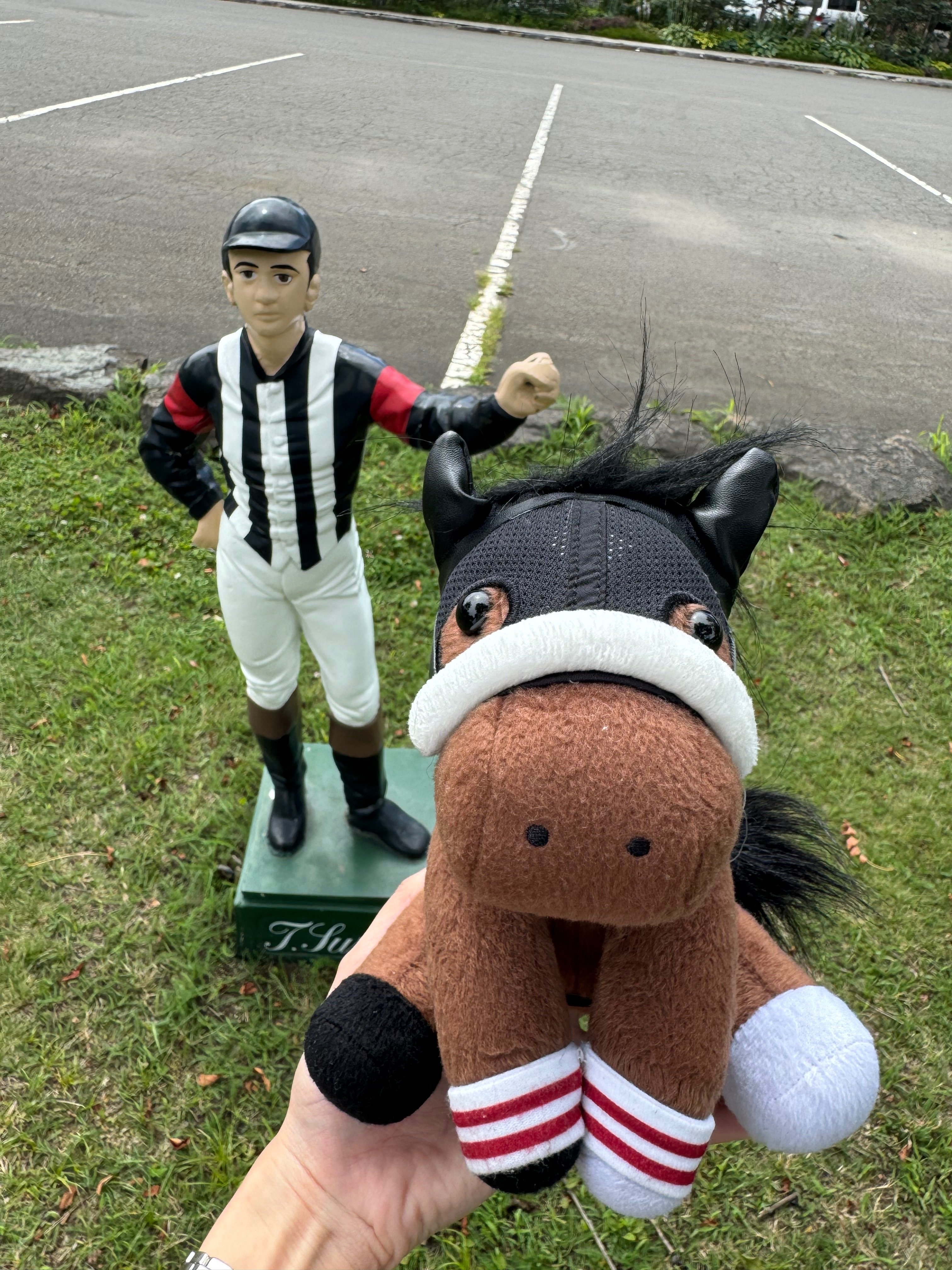 ブケぬいを連れ回す｜はね田