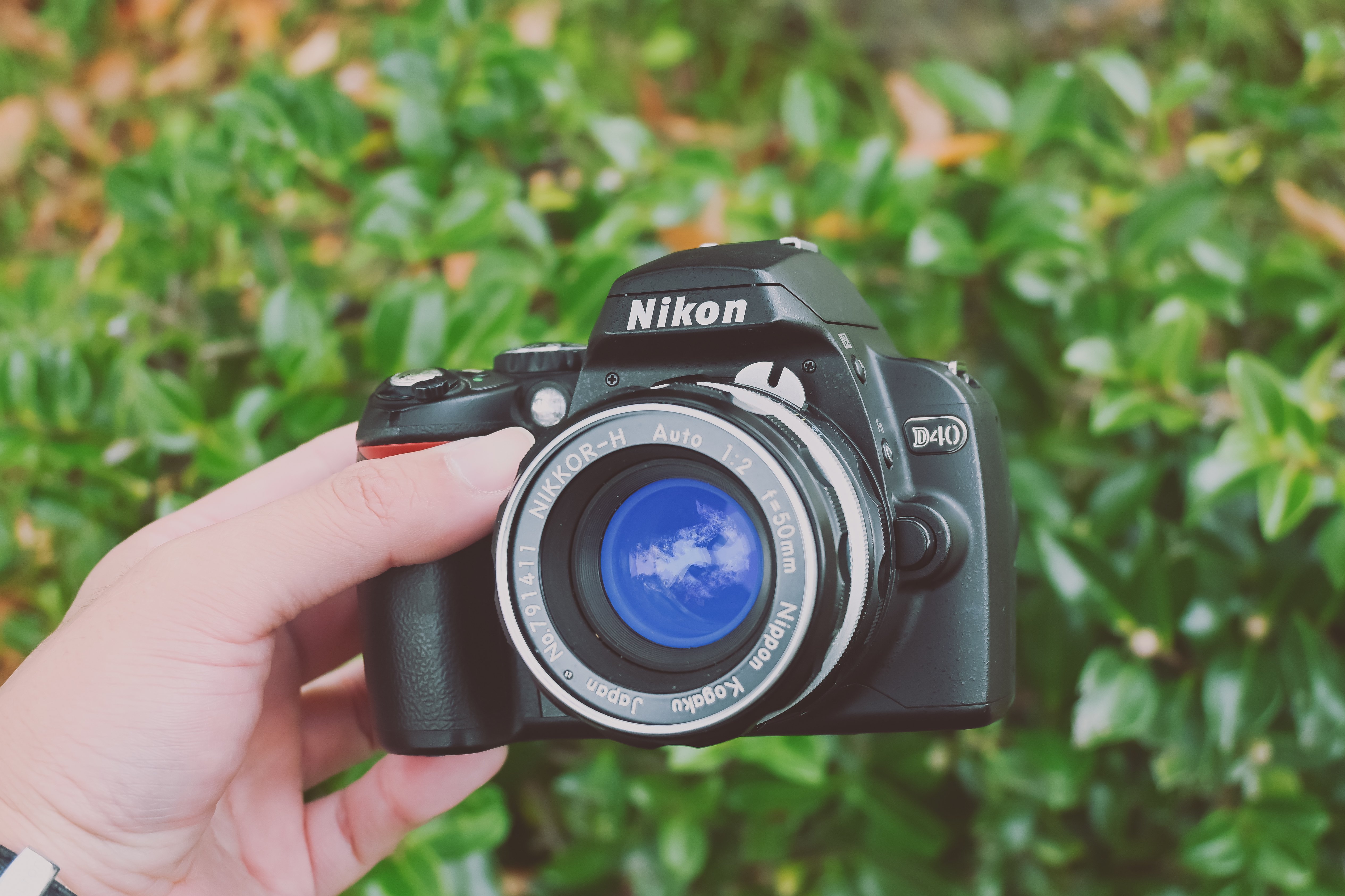 MNG!】Nikon D40をお迎え｜もんぶらん